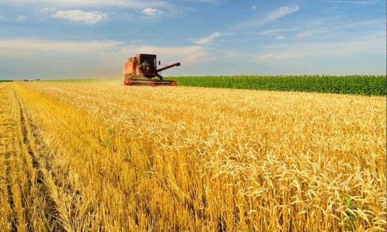 Crédito rural empresarial cresce 10% e alcança R$ 404 bilhões no Plano Safra 2025/2026