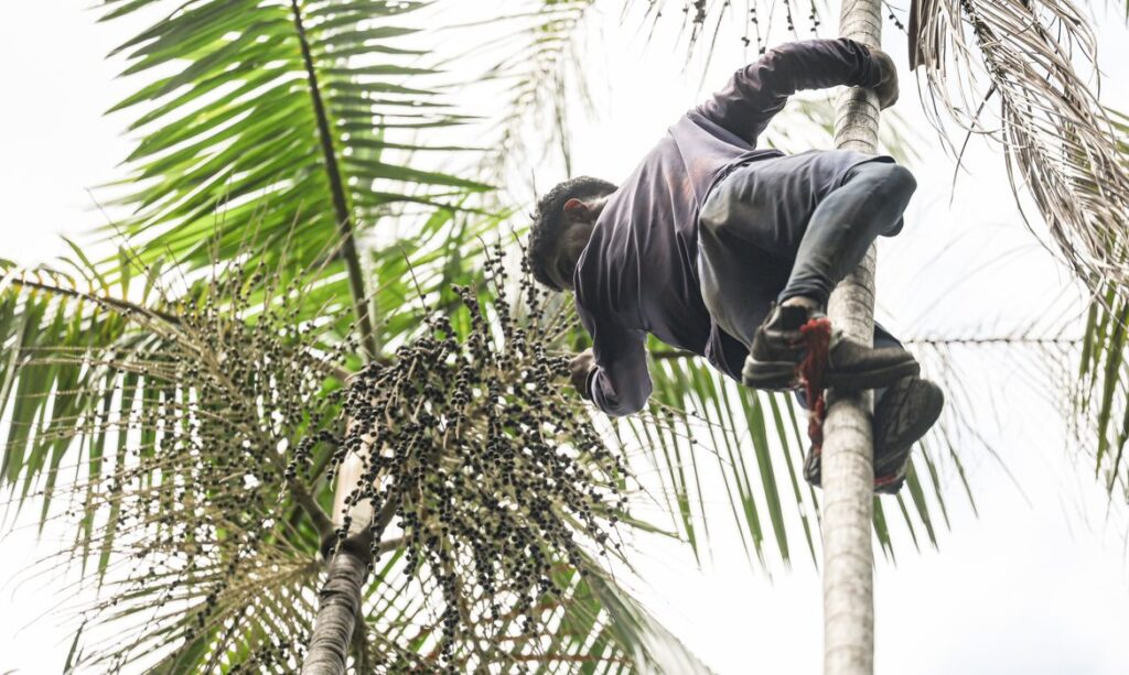 Governo investe R$ 132 milhões em regularização fundiária na Amazônia