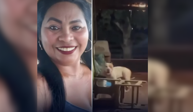 Mulher morre atacada pelo próprio cachorro da raça pitbull em casa; veja vídeo