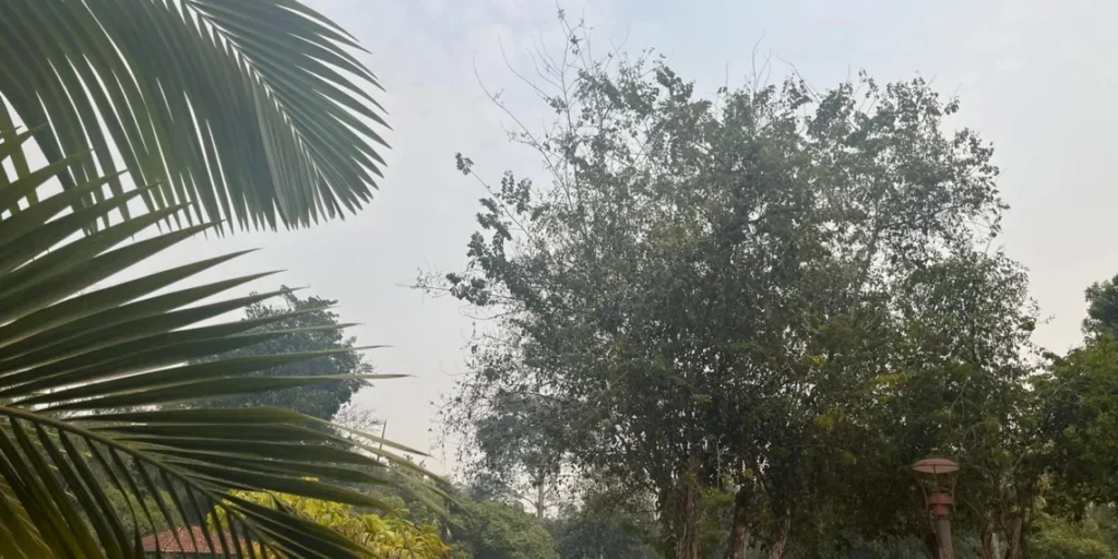 Frente fria deixa Acre com madrugada amena, muito sol e temperaturas de até 34ºC nesta quarta-feira (27)
