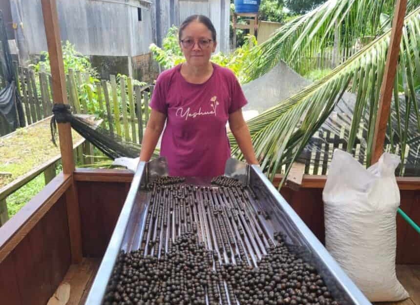 Trabalho de desidratação de frutas do Jordão é finalista do 13 Prêmio Fundação BB de Tecnologia Social