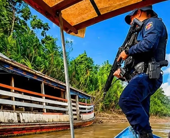 PM apreende quase 50 cabeças de gado suspeitas de furto em embarcação no rio em Tarauacá