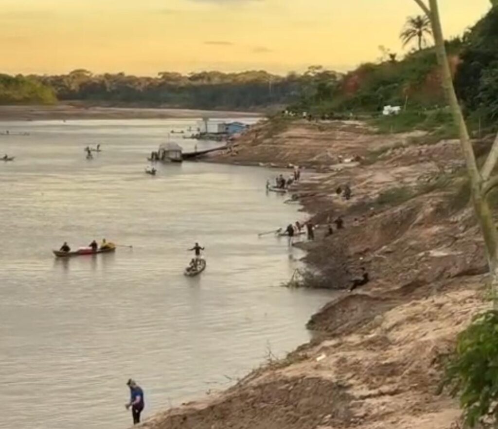Piracema de mandi reúne moradores e movimenta praias no Vale do Juruá; veja vídeo