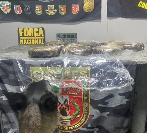 Cadela encontra droga escondida em máquina de solda dentro de barco