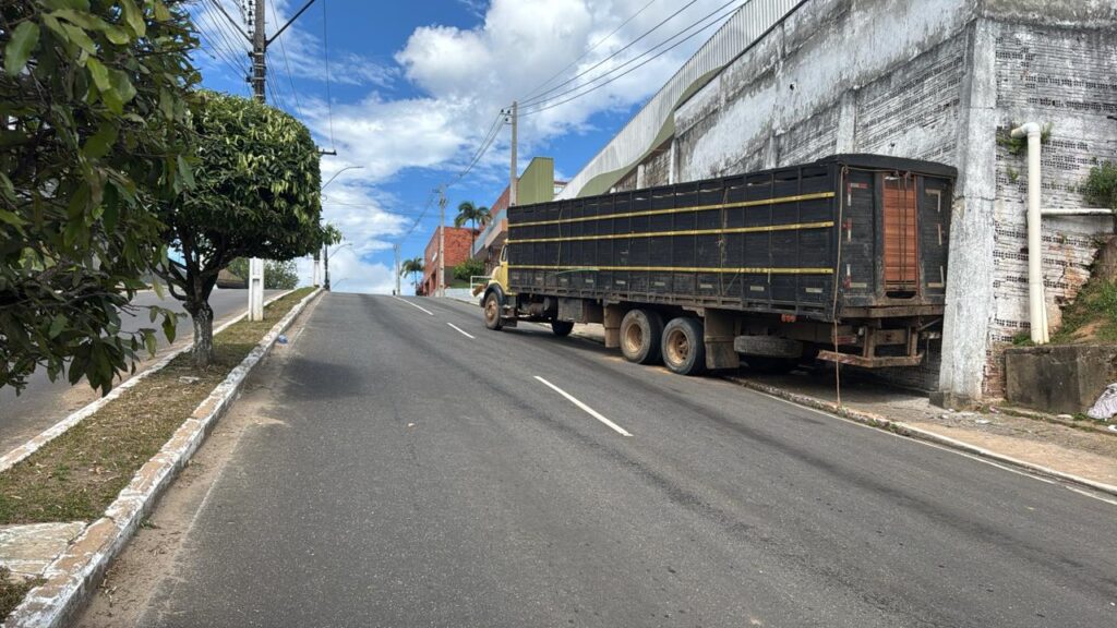 Caminhão tenta subir “ladeira da maternidade”, perde força e acaba parando em muro; veja vídeo
