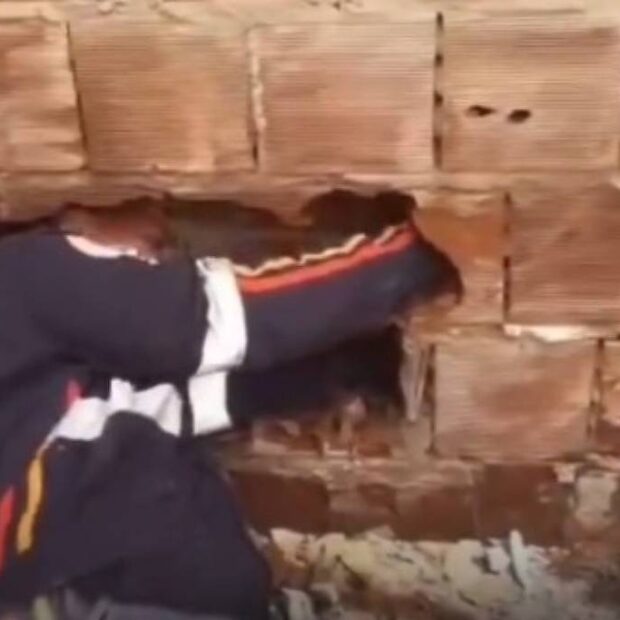 Desumano! Recém-nascido morre após ser abandonado entre muros; veja vídeo