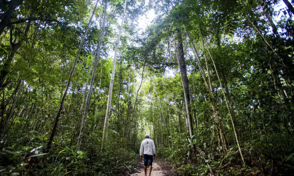 Acre aparece entre os cinco estados que mais evoluíram em sustentabilidade ambiental
