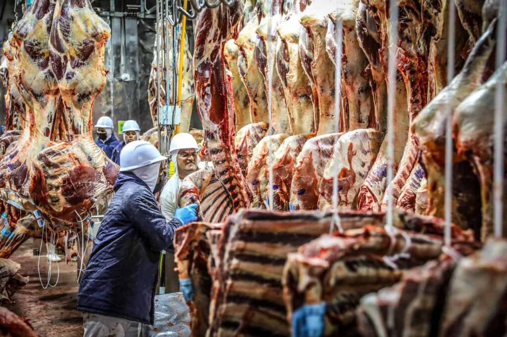 Exportações de carne bovina do Acre crescem 32% em 2026