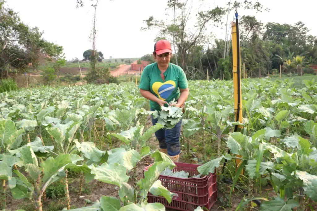 Agricultura familiar do Acre já movimentou R$ 102,2 milhões em programa federal de microcrédito