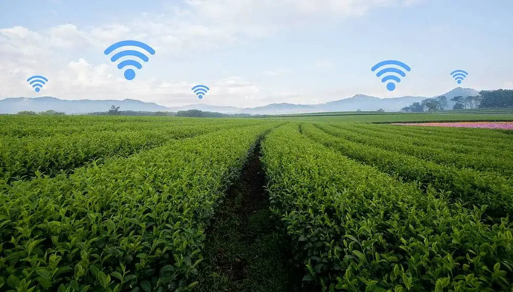 Ministério das Comunicações diz que 4G chega a áreas rurais e alcança quatro novas localidades no Acre
