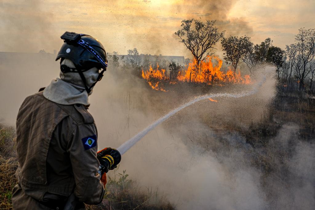 Com 21 focos em cinco meses, Acre tem menor número de queimadas do Brasil