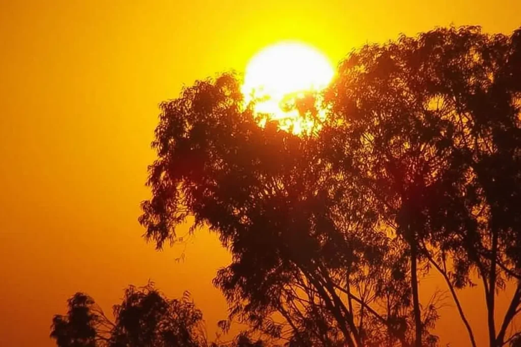 Quinta-feira (11) será de calor, tempo abafado e possibilidade de chuvas fortes em áreas do Acre