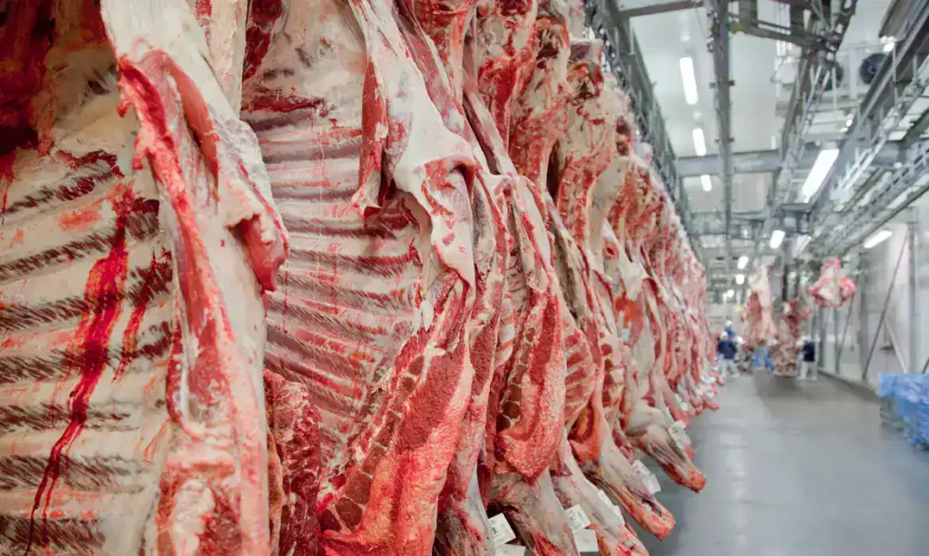 Ausência de compras dos Emirados Árabes derruba carne na pauta de exportação do Acre