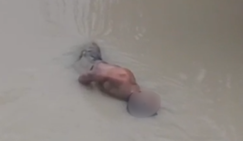 VÍDEO: ‘boiando’, corpo com mãos amarradas é encontrado em igarapé