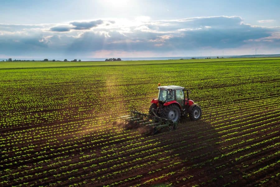 Agronegócio gera 131 novos empregos no Acre em maio de 2026, aponta CNM