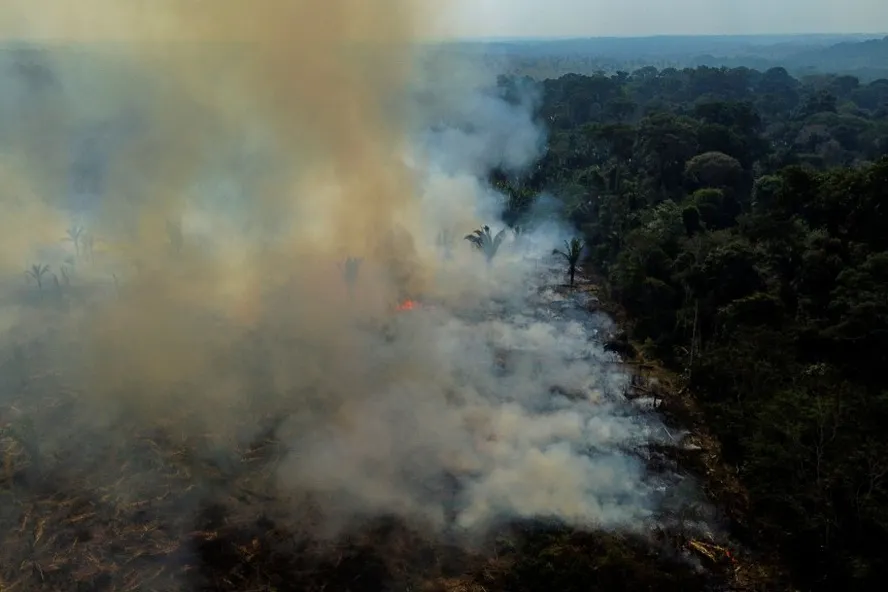 Queimadas na Amazônia aumentam em 23% as internações por causas respiratórias, mostra estudo