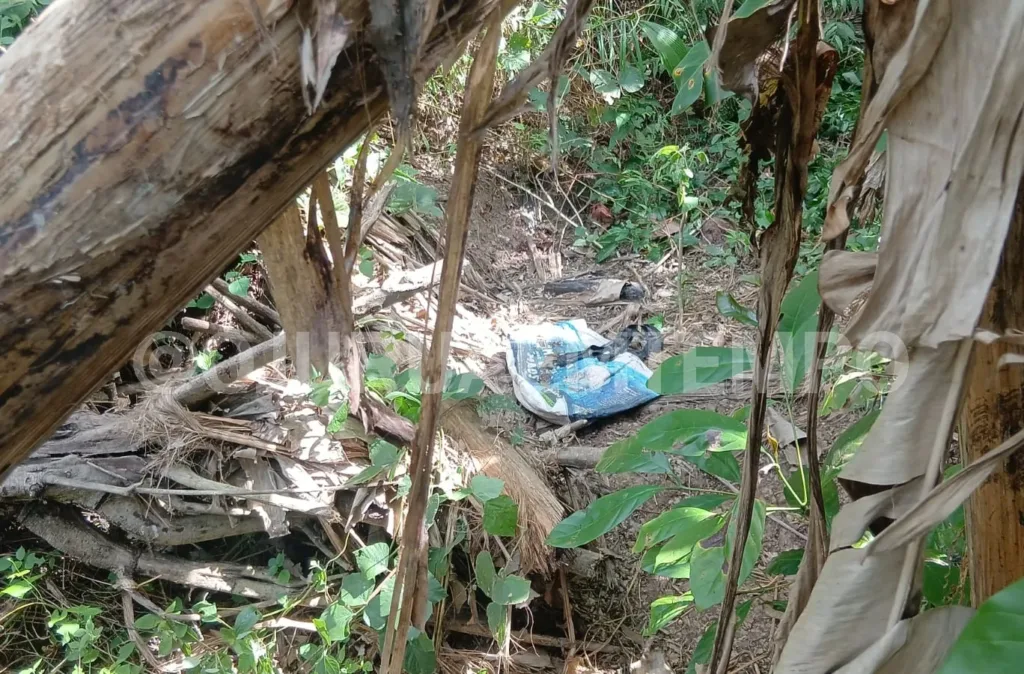 Crânio humano e restos mortais são encontrados em área de mata em Rio Branco