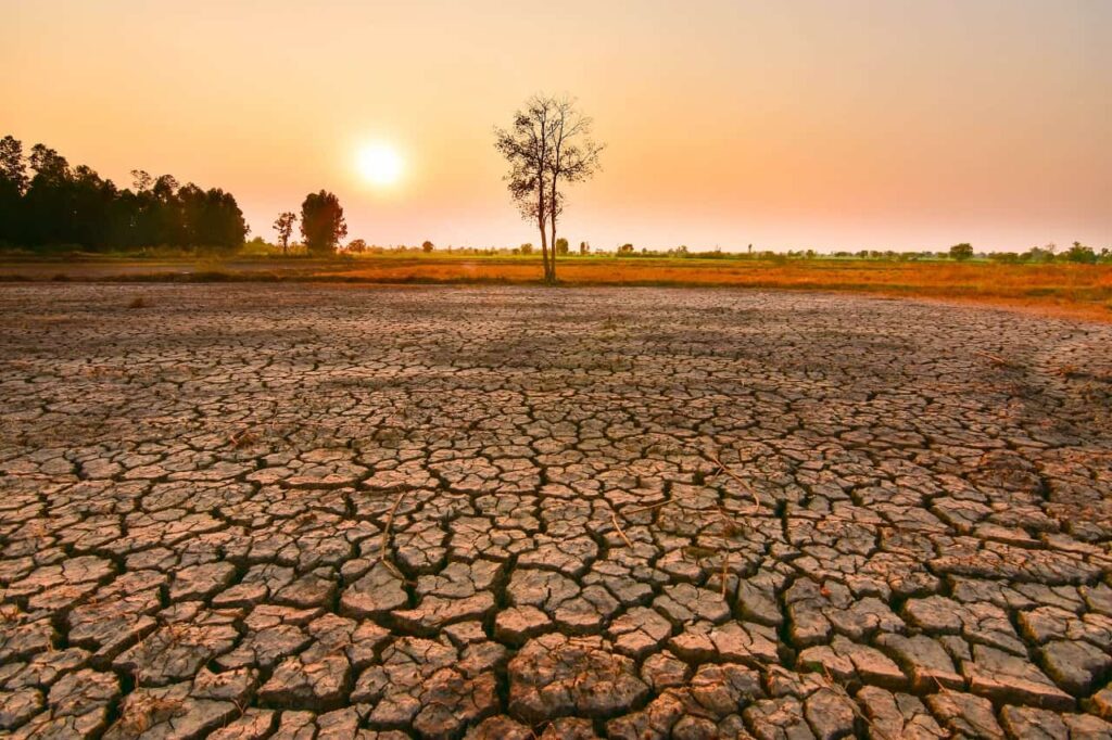El Niño pode ficar entre os mais fortes da história até o fim do ano