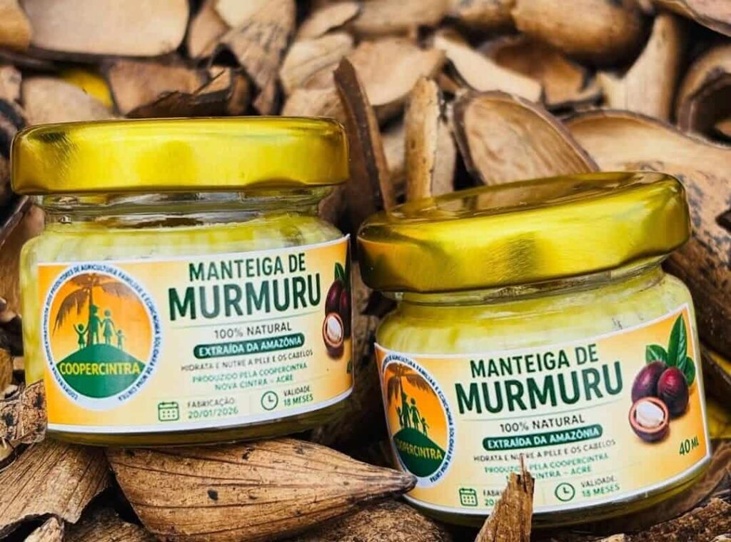 Natura investe na cadeia produtiva do óleo de murmuru em Rodrigues Alves