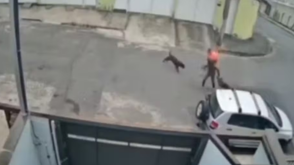 VÍDEO: trabalhador ajuda a salvar mulher e cachorro de ataque de pitbull
