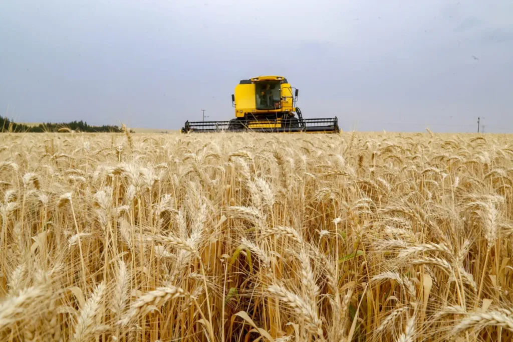 Valor Bruto da Produção Agropecuária do Acre supera R$ 1,3 bilhão