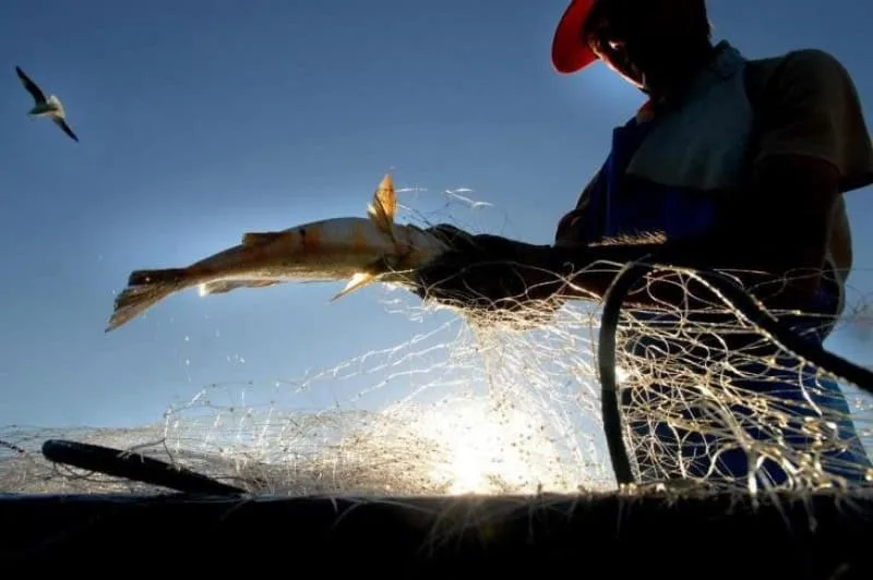 Acre tem mais de 21 mil pescadores artesanais registrados, aponta Ministério da Pesca